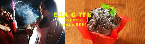 дживик Инта