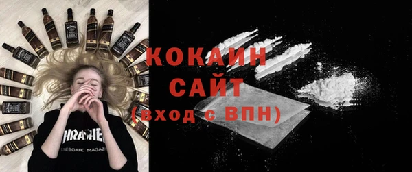 дживик Инта