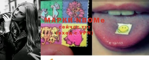 мяу мяу мука Инсар