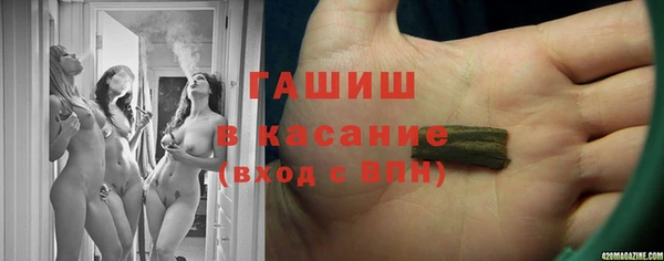дживик Инта
