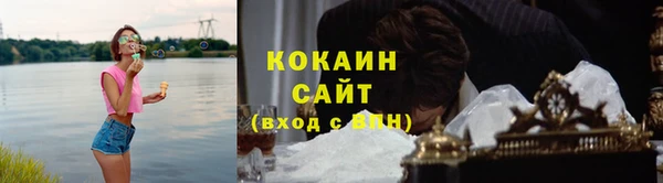 дживик Инта