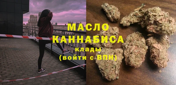 дживик Инта