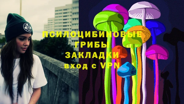 дживик Инта