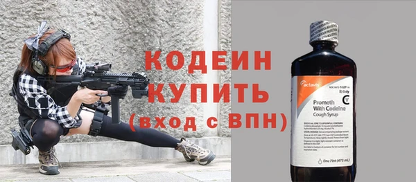 дживик Инта