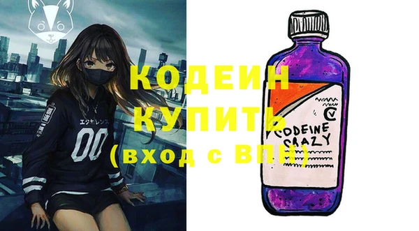 дживик Инта