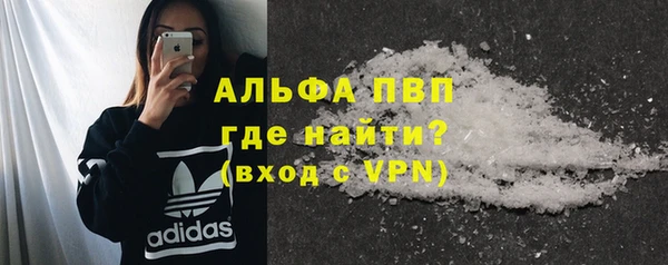 дживик Инта