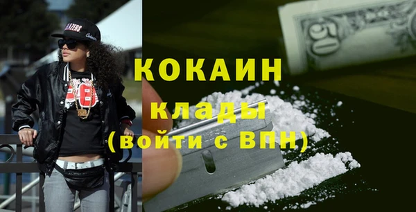 дживик Инта