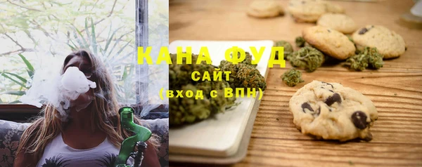 дживик Инта