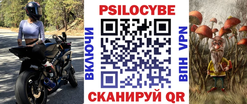 Галлюциногенные грибы Psilocybe  Тайшет 