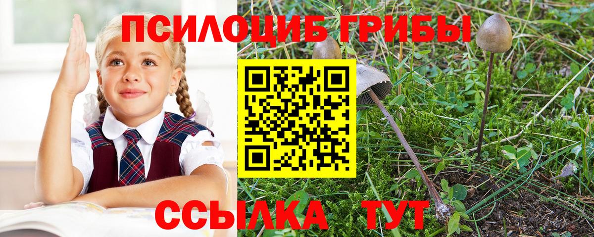 Галлюциногенные грибы прущие грибы  Вход с VPN  наркошоп  Тайшет 