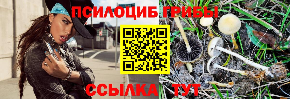 Псилоцибиновые грибы MAGIC MUSHROOMS Тайшет