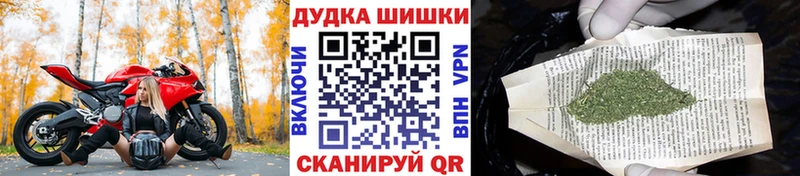 это Telegram  Тайшет  Бошки марихуана гибрид  магазин продажи наркотиков 